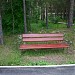 спуск к берегу в городе Бердск