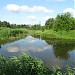 Остатки Братеевского (Красного) луга в городе Москва