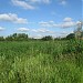 Остатки Братеевского (Красного) луга в городе Москва