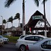 Bambú in Acapulco city