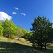 LBJ National Grasslands