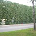 Автобусная / троллейбусная остановка 