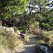 Mount Tamalpais State Park