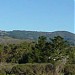 Mount Tamalpais State Park