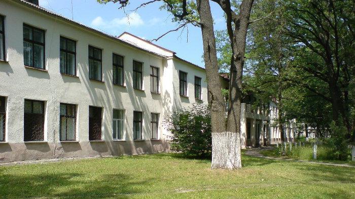Королев детская поликлиника платные услуги