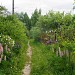 Садоводческое товарищество «Строитель» в городе Рязань