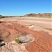 Petrified Forest National Park