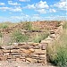 Petrified Forest National Park