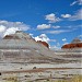 Petrified Forest National Park