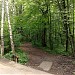 Участок лесной дороги в городе Москва