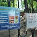 Мини-зоопарк «Миракс» в городе Москва