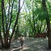 Мини-зоопарк «Миракс» в городе Москва