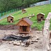Мини-зоопарк «Миракс» в городе Москва