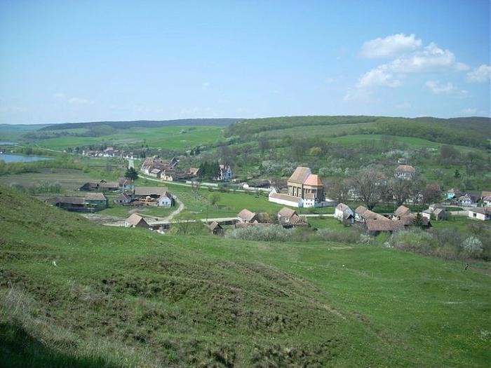 Brădeni