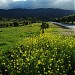 Valle de Portolá