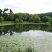 Sviblovskiye Ponds