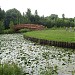 Искусственный ров в городе Москва