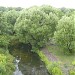 Старица р. Яузы в городе Москва