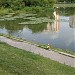 Капустинский пруд в городе Москва