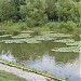 Остров на Капустинском пруду в городе Москва