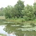Остров на Капустинском пруду в городе Москва