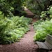 Golden Gate Park in San Francisco, California city