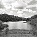 Briones Reservoir