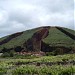 Montaña de El Palmar