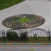 Цветник в городе Москва