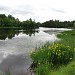 L'Étang et le Marais de Kingsbury