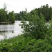 L'Étang et le Marais de Kingsbury