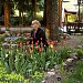 Restaurant & Garden Rubin in Dobrich city