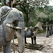 Lăng Vua Tự Đức trong Thành phố Huế thành phố