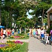 Центральная аллея ведущая  к пляжу в городе Кабардинка