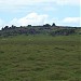 White Tor