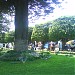 Jardín Principal 