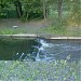 Перекат в городе Москва