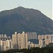 飛鵝山 603m 在 香港 城市 