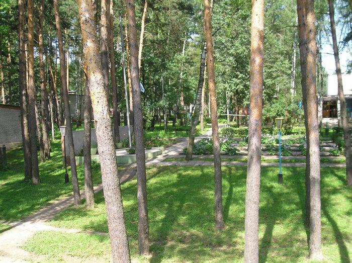 Линейка