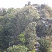 Lion Rock - Head Summit in Hong Kong city