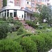 Альпийский садик в городе Кременчуг