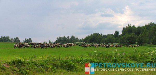 платная рыбалка в дятлово клинского района платная рыбалка в дятлово клинского района