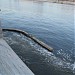 Выпуск сточных вод с ТЭЦ-12 в городе Москва