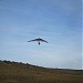 Dobrogea Hang Gliding Catalog - Baltagesti Nord