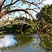 Ponte na São Paulo city