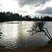 Ibirapuera Lake