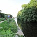 «Собачий» остров в городе Москва