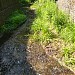 Пойма ручья Поклонной горы в городе Москва
