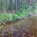 Malinovskoye lake