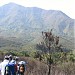 Tiu Tang Lung Peak in Hong Kong city